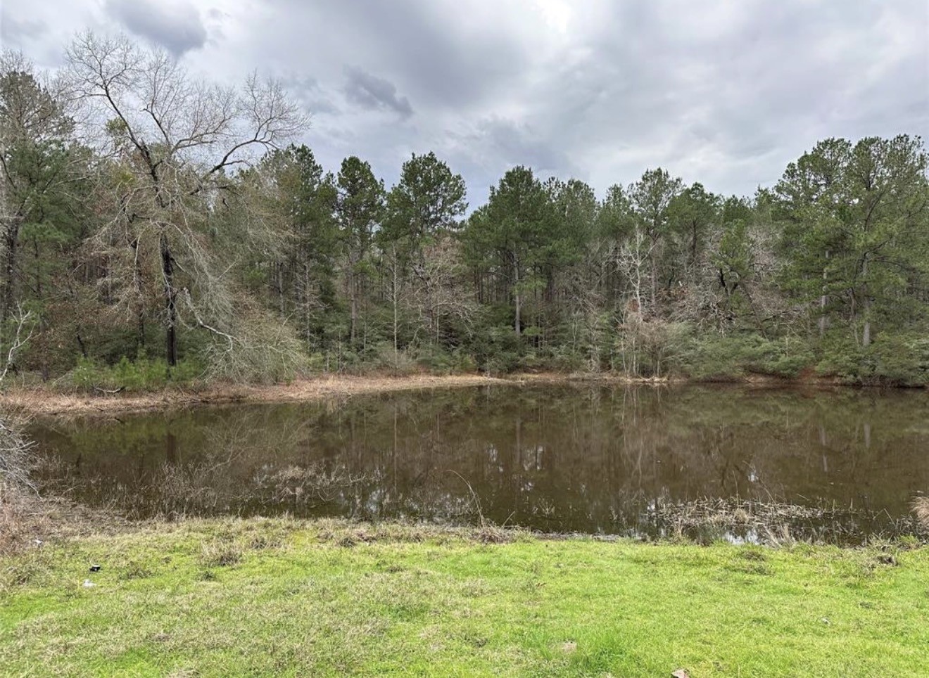 67-68 Nottoway Lane Trinity, TX 75862 - Photo 1 of 11 a view of a lake from a yard