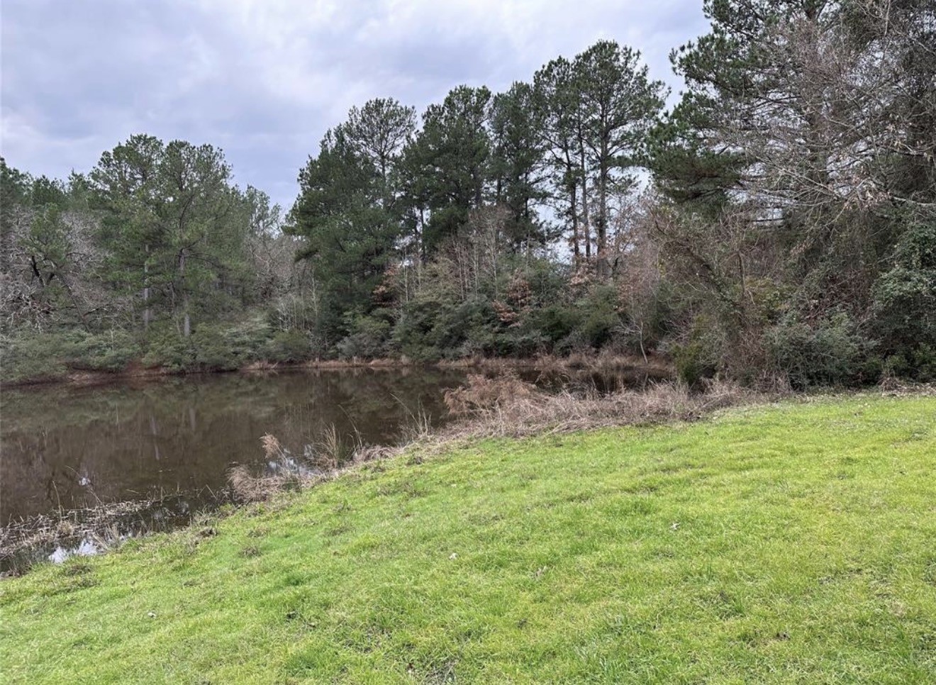 67-68 Nottoway Lane Trinity, TX 75862 - Photo 2 of 11 a view of lake with green space