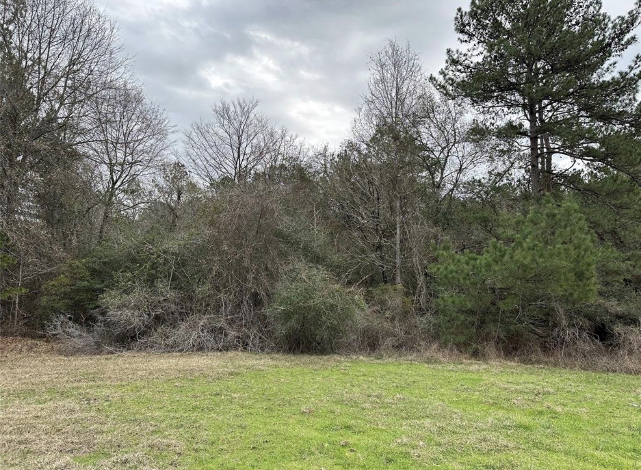 67-68 Nottoway Lane Trinity, TX 75862 - Photo 3 of 11 a view of a field with an outdoor space