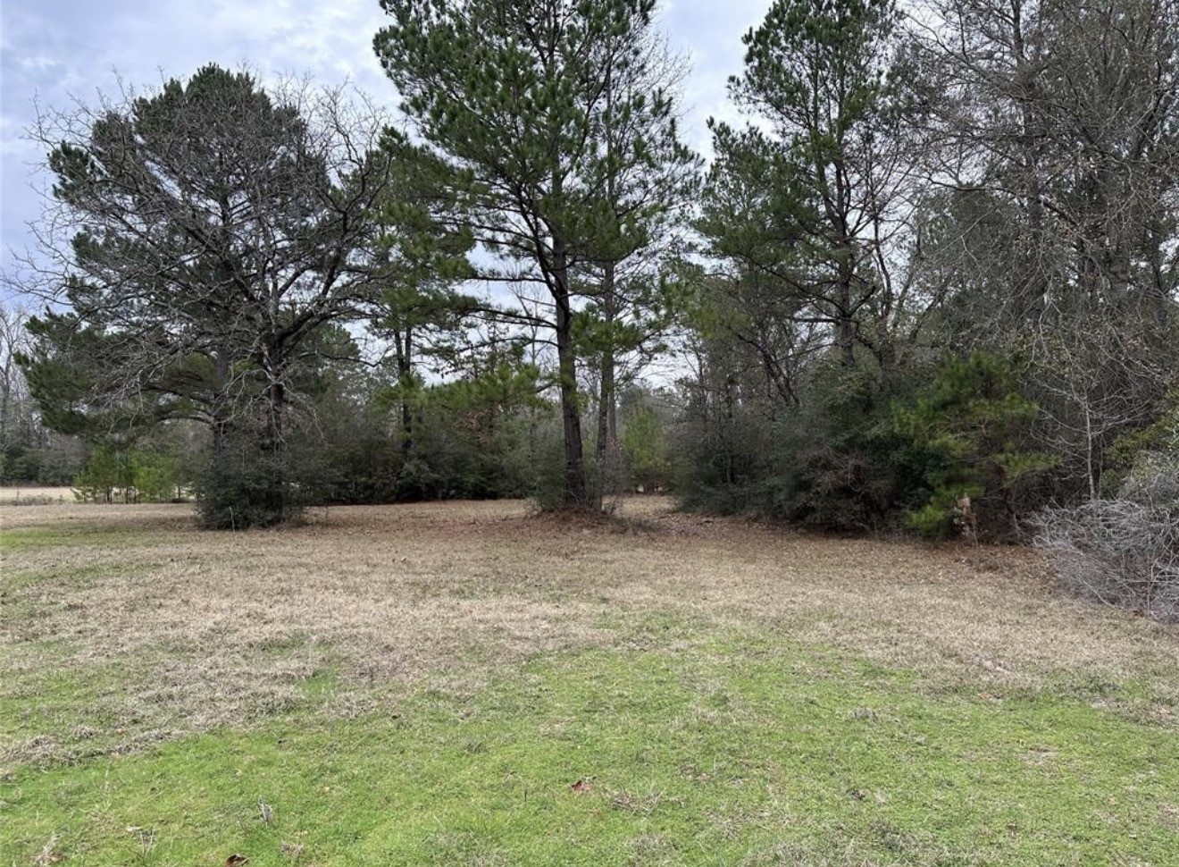67-68 Nottoway Lane Trinity, TX 75862 - Photo 4 of 11 a view of backyard with green space