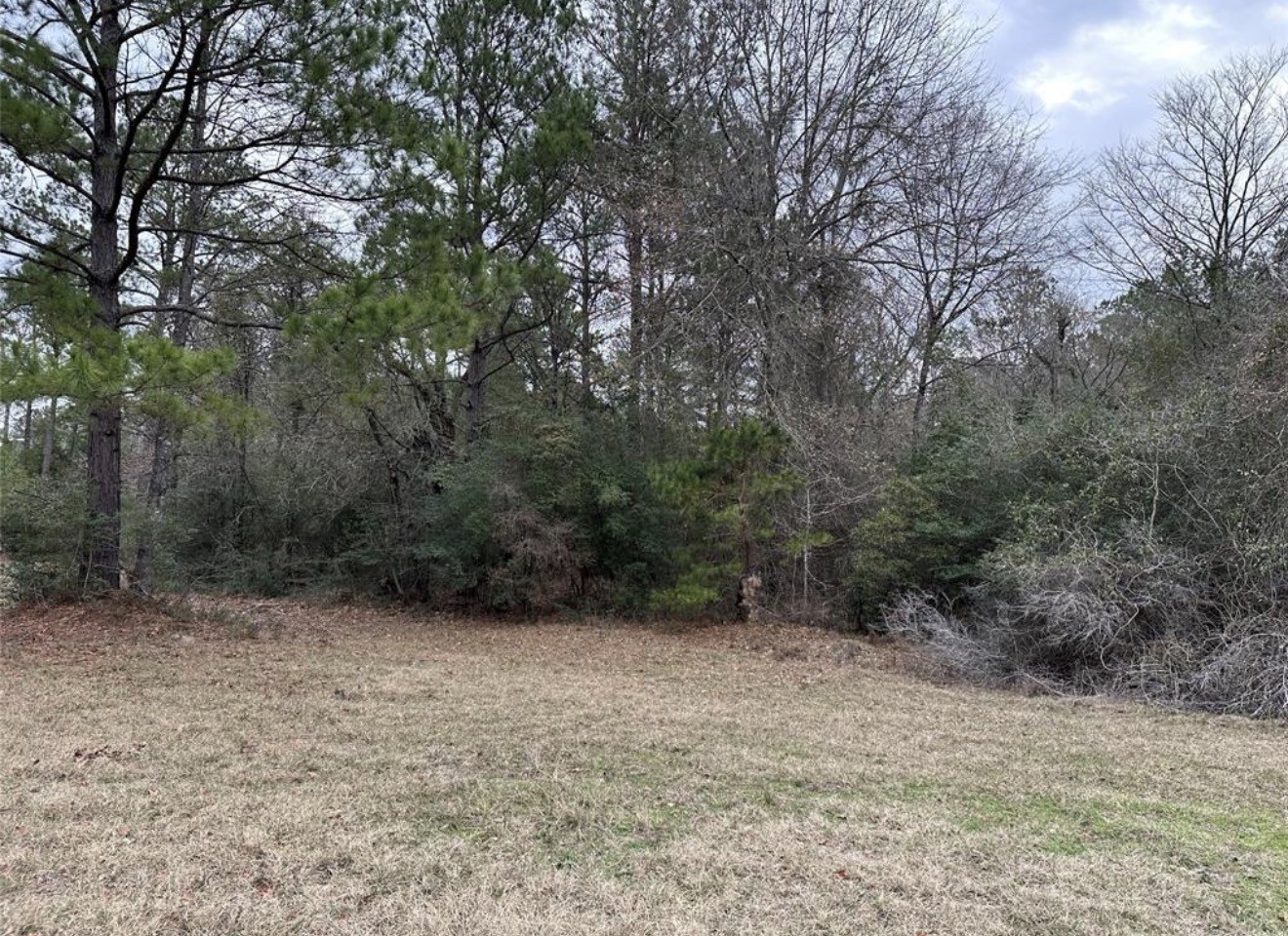 67-68 Nottoway Lane Trinity, TX 75862 - Photo 5 of 11 a view of outdoor space and trees
