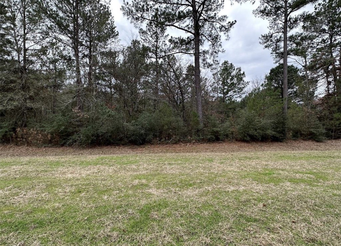 67-68 Nottoway Lane Trinity, TX 75862 - Photo 6 of 11 a backyard of a house with lots of green space