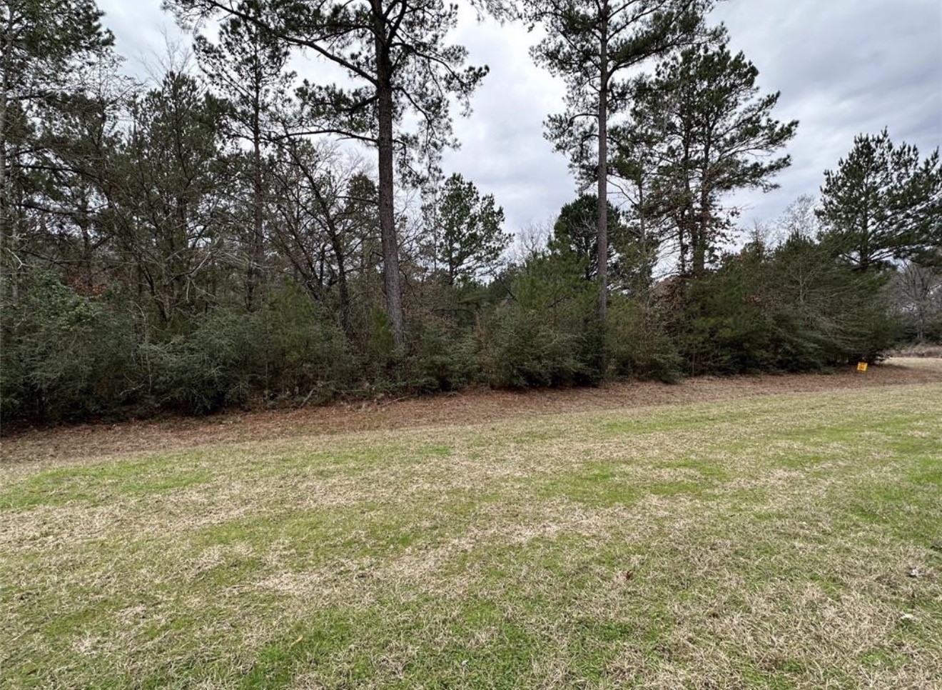 67-68 Nottoway Lane Trinity, TX 75862 - Photo 7 of 11 a view of a yard with a tree