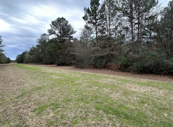 a view of a field with an trees in the background
