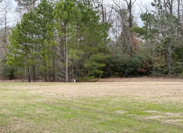 a view of outdoor space with trees