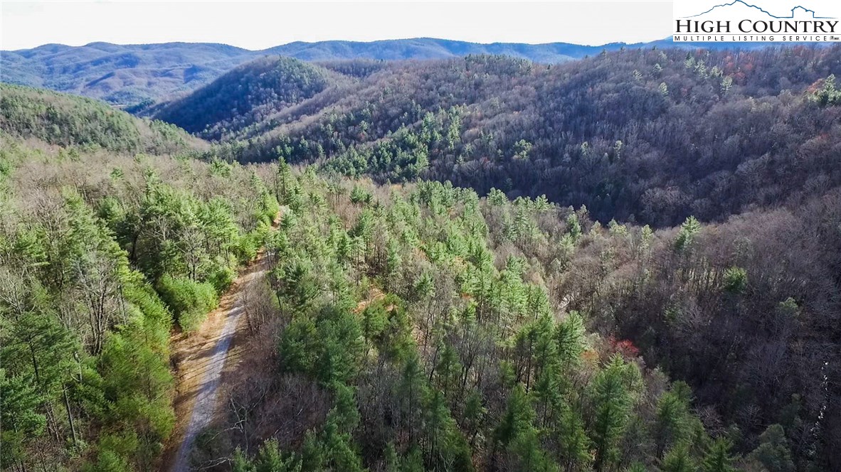 Lot 173 Blue Rock Road Purlear, NC 28665 - Photo 1 of 34