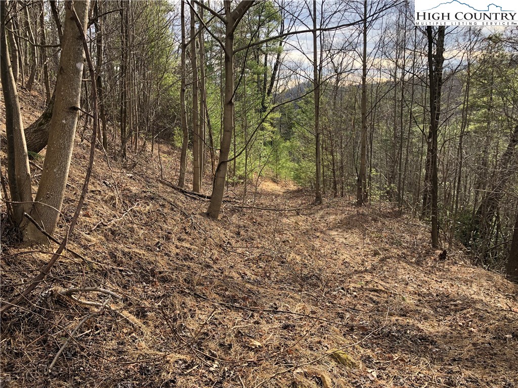 Lot 173 Blue Rock Road Purlear, NC 28665 - Photo 11 of 34