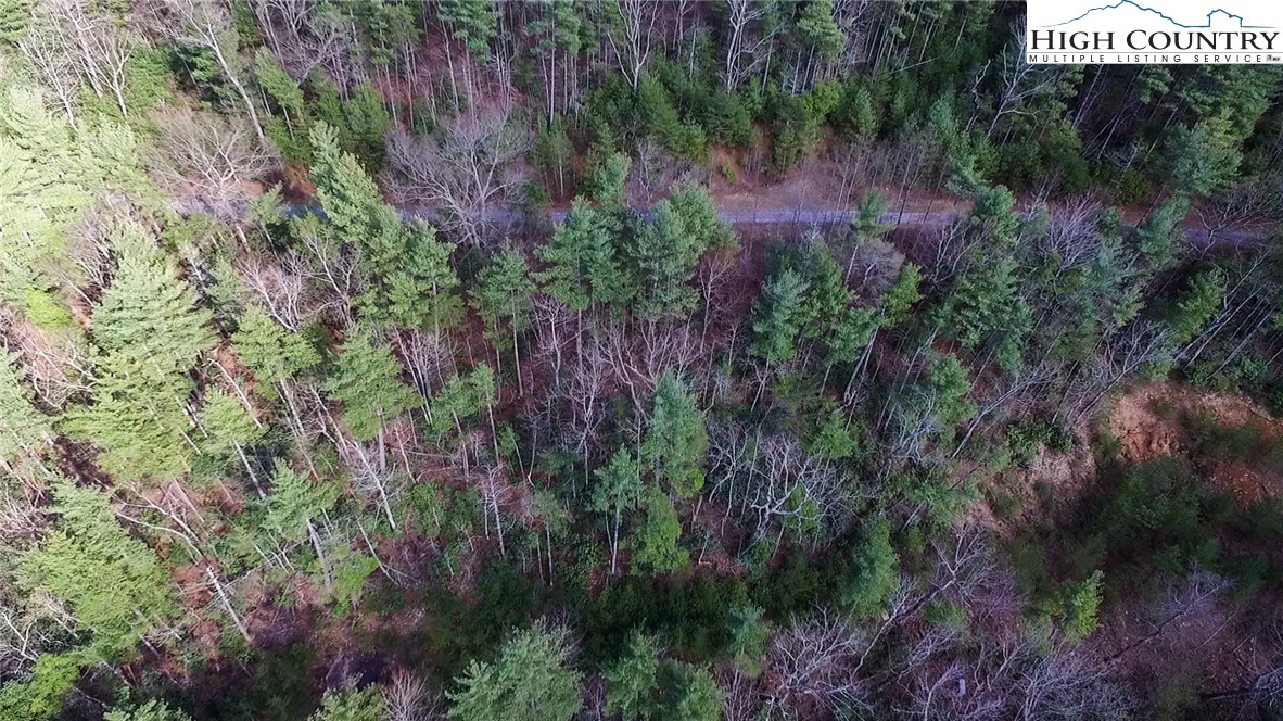 Lot 173 Blue Rock Road Purlear, NC 28665 - Photo 13 of 34