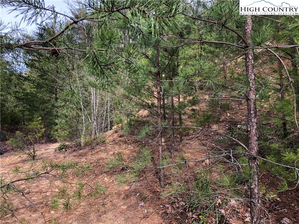 Lot 173 Blue Rock Road Purlear, NC 28665 - Photo 14 of 34