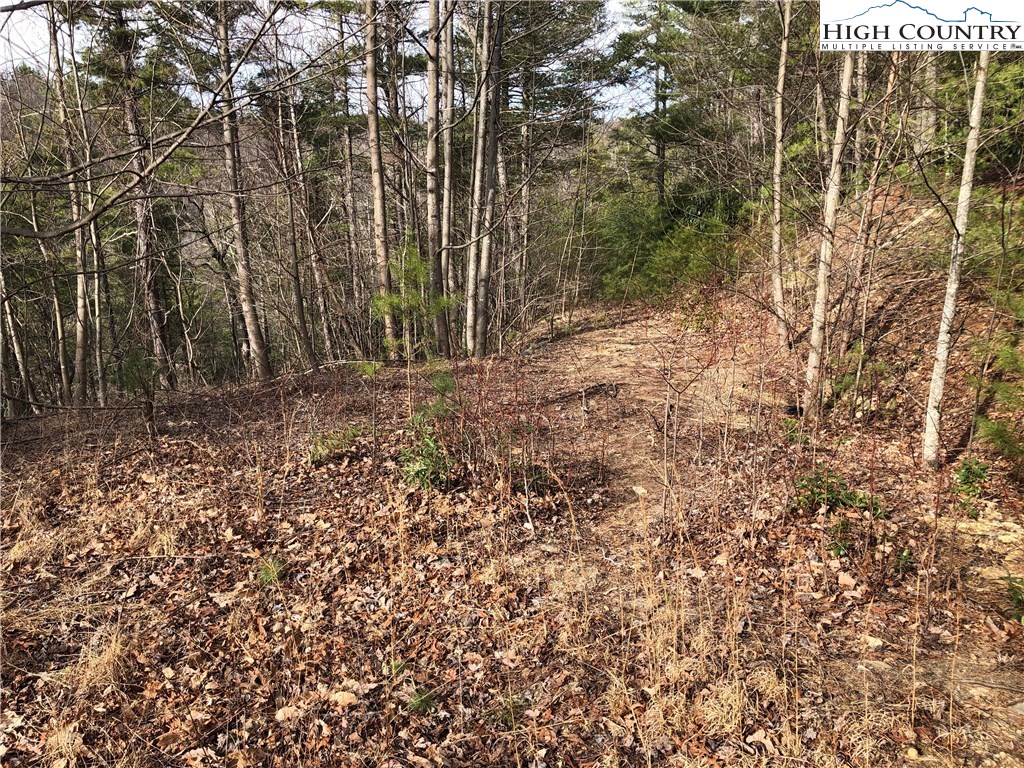 Lot 173 Blue Rock Road Purlear, NC 28665 - Photo 15 of 34