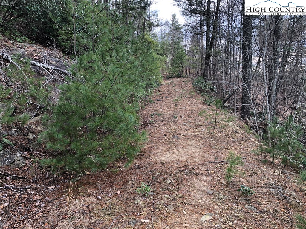 Lot 173 Blue Rock Road Purlear, NC 28665 - Photo 16 of 34