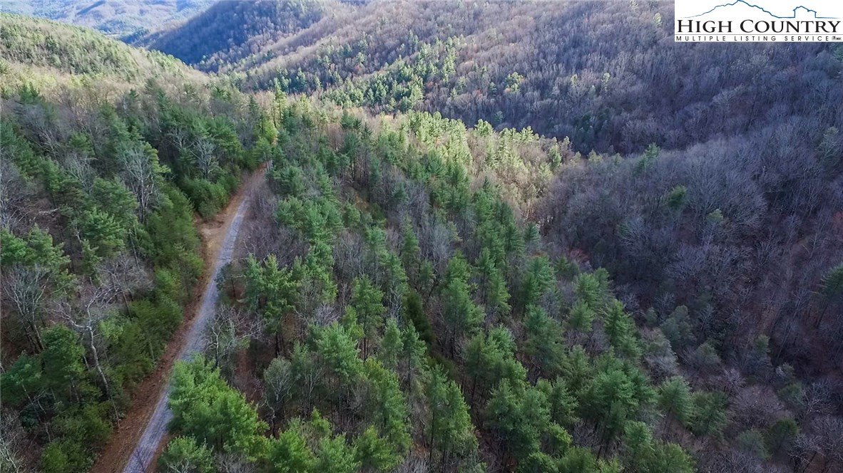 Lot 173 Blue Rock Road Purlear, NC 28665 - Photo 17 of 34