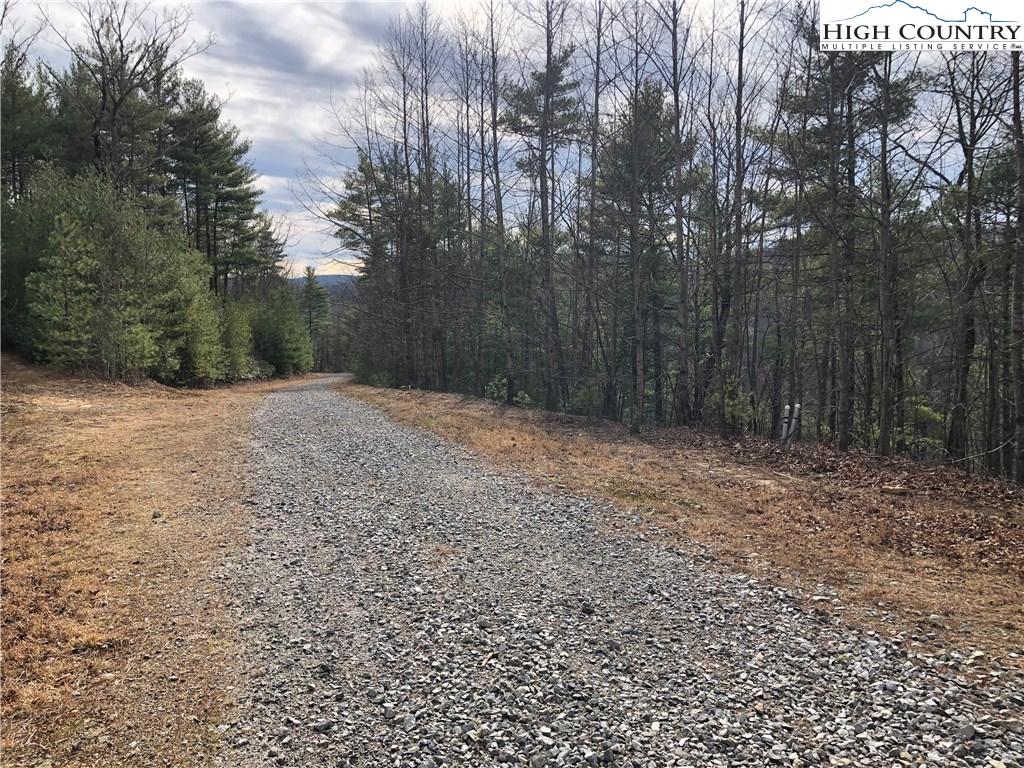 Lot 173 Blue Rock Road Purlear, NC 28665 - Photo 2 of 34