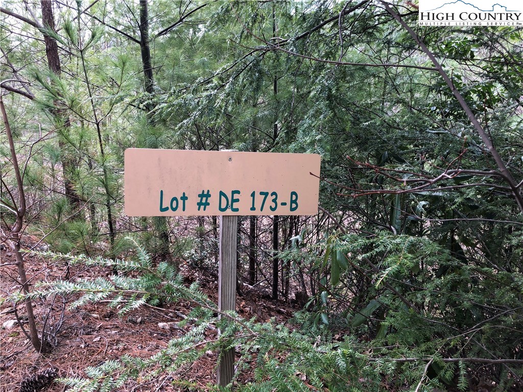 Lot 173 Blue Rock Road Purlear, NC 28665 - Photo 3 of 34