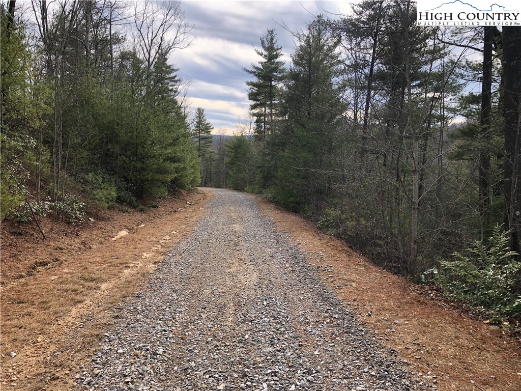 Lot 173 Blue Rock Road Purlear, NC 28665 - Photo 4 of 34