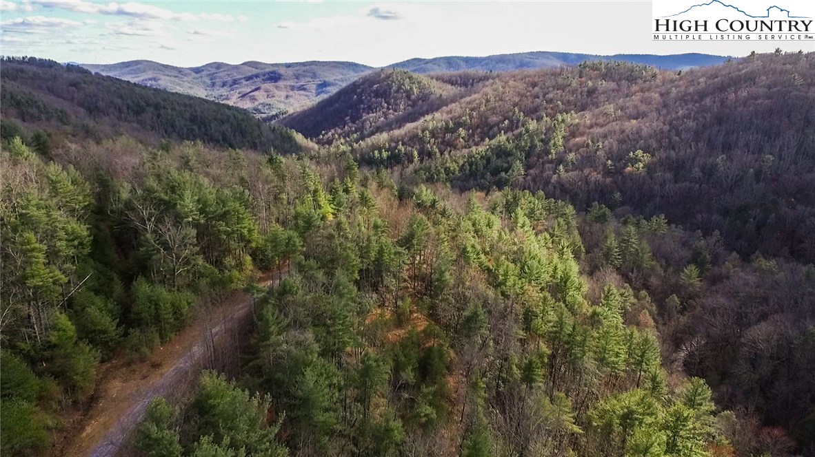 Lot 173 Blue Rock Road Purlear, NC 28665 - Photo 5 of 34