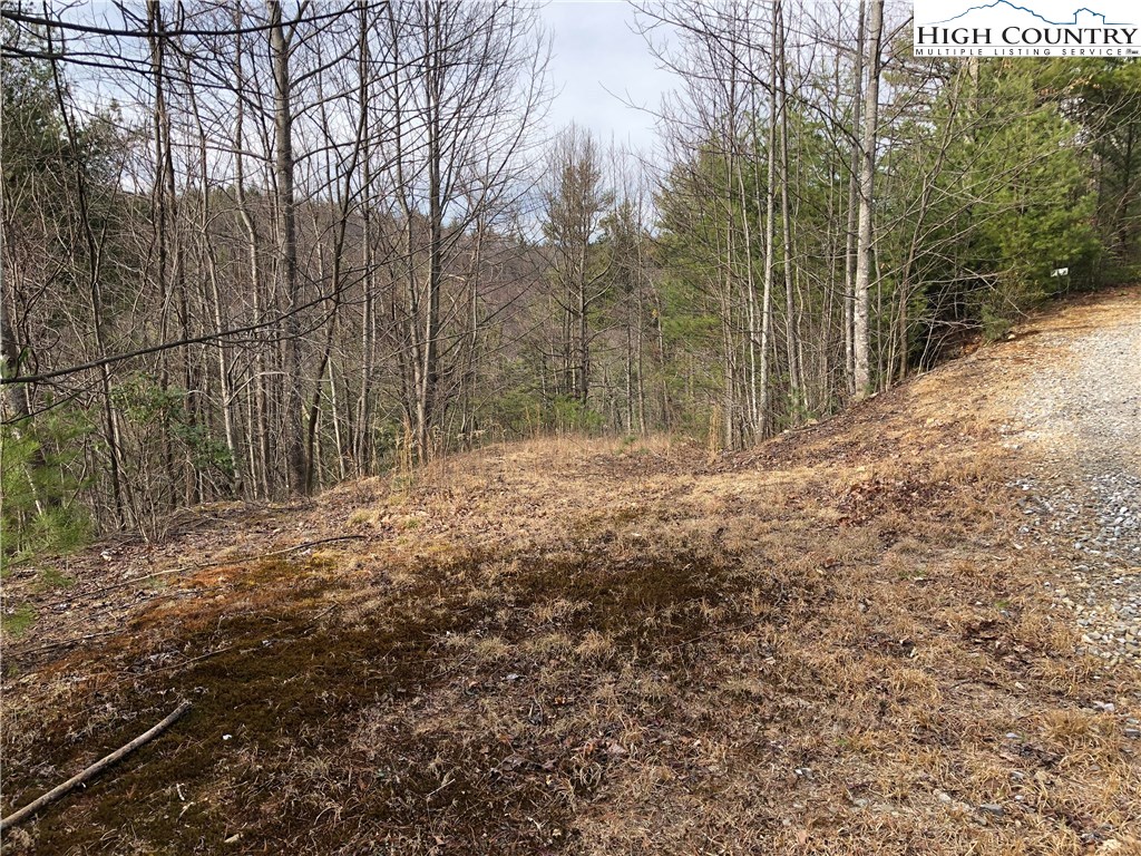Lot 173 Blue Rock Road Purlear, NC 28665 - Photo 6 of 34