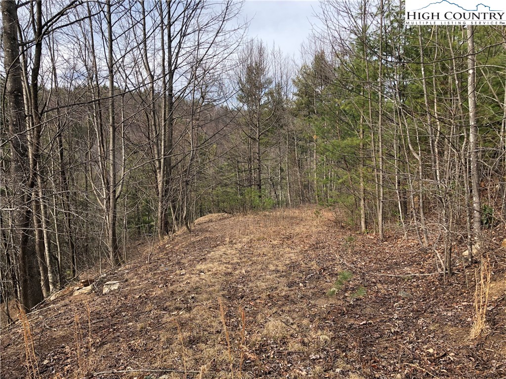 Lot 173 Blue Rock Road Purlear, NC 28665 - Photo 7 of 34