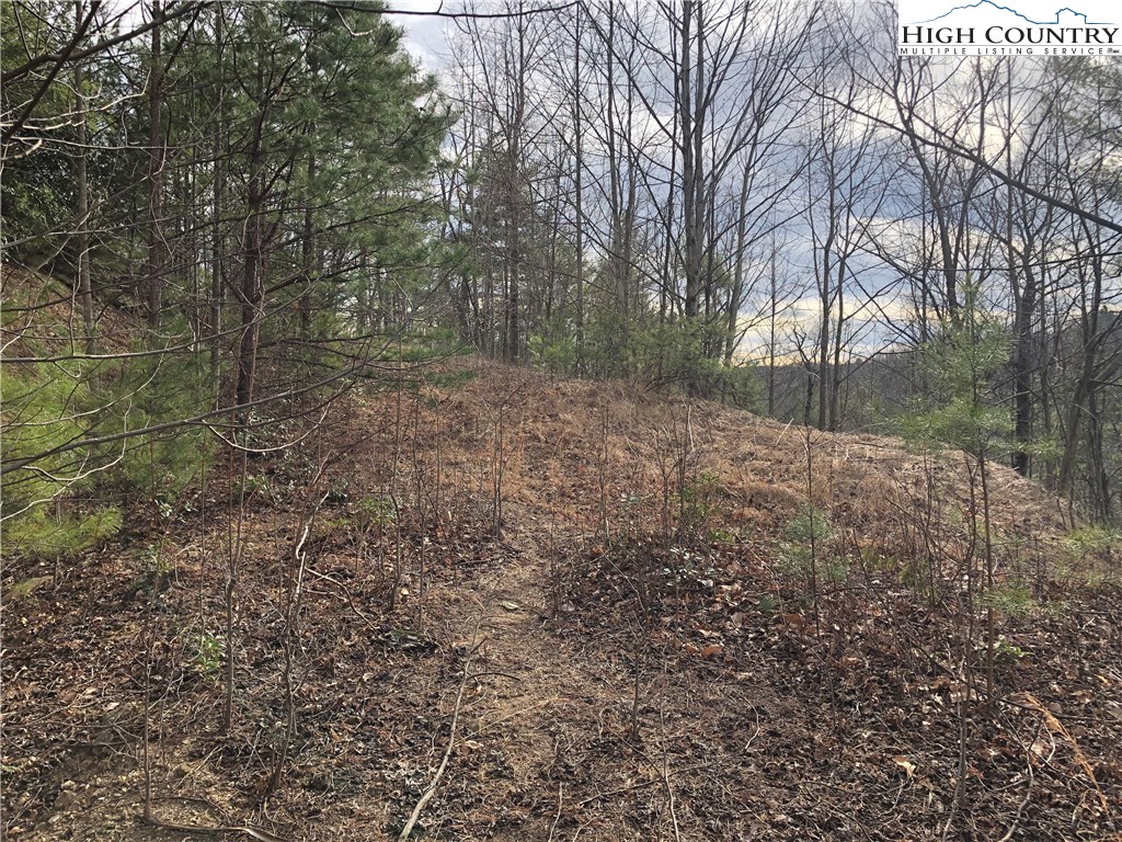 Lot 173 Blue Rock Road Purlear, NC 28665 - Photo 8 of 34