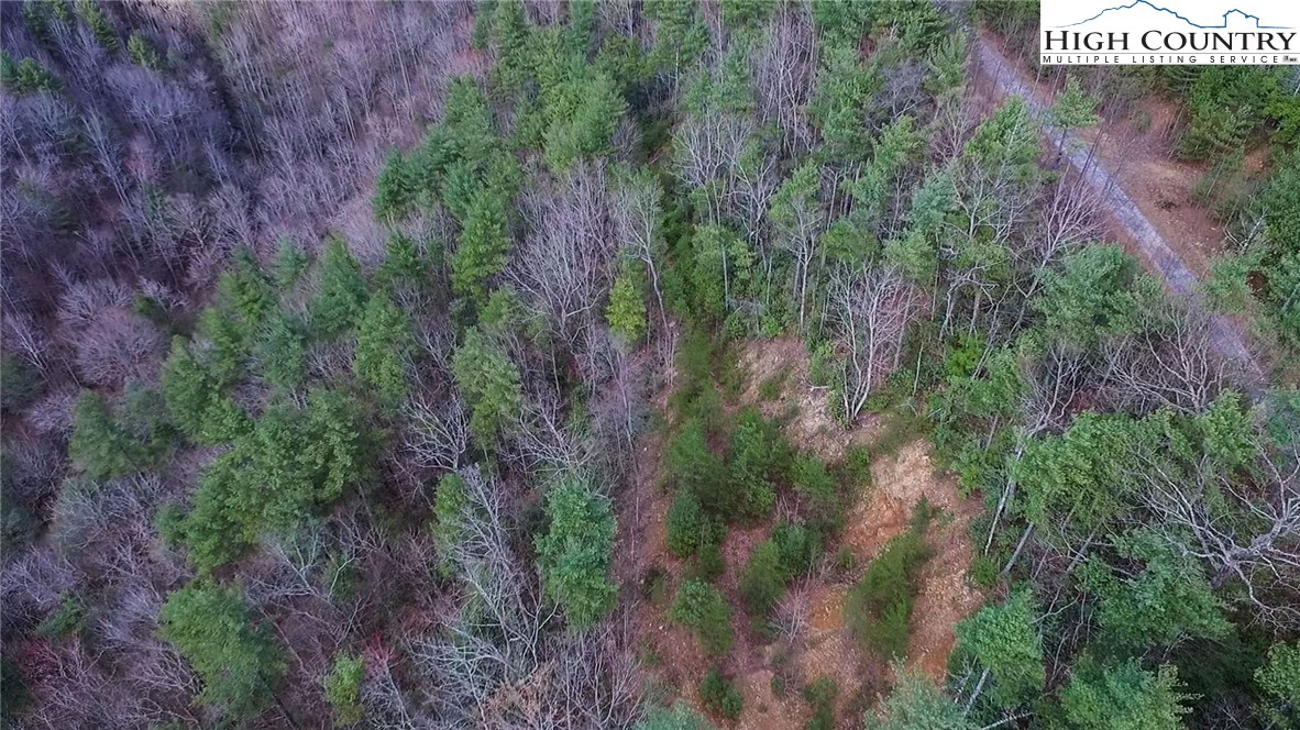 Lot 173 Blue Rock Road Purlear, NC 28665 - Photo 10 of 34