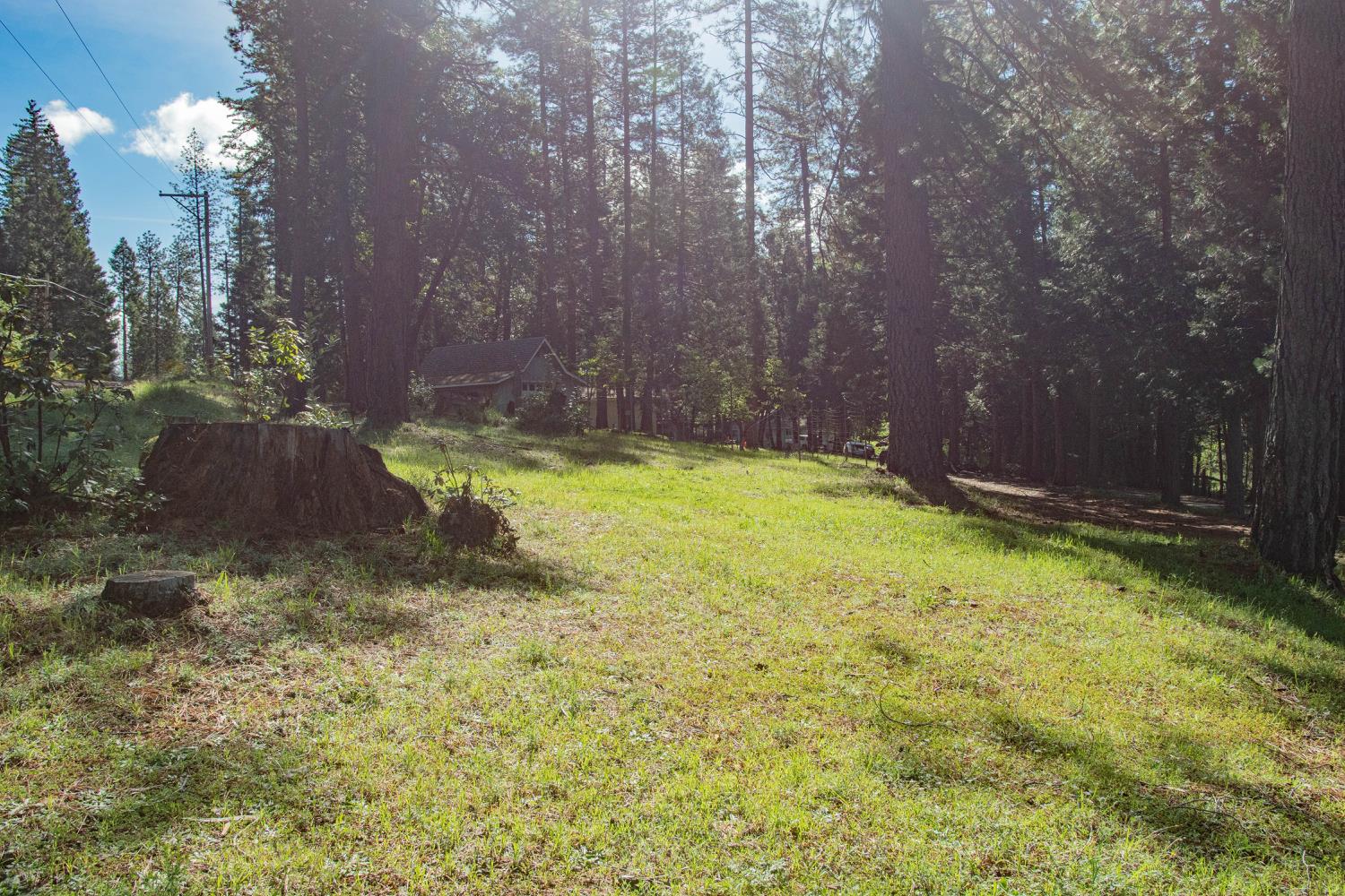 7380 Wentworth Springs Road Georgetown, CA 95634 - Photo 30 of 34