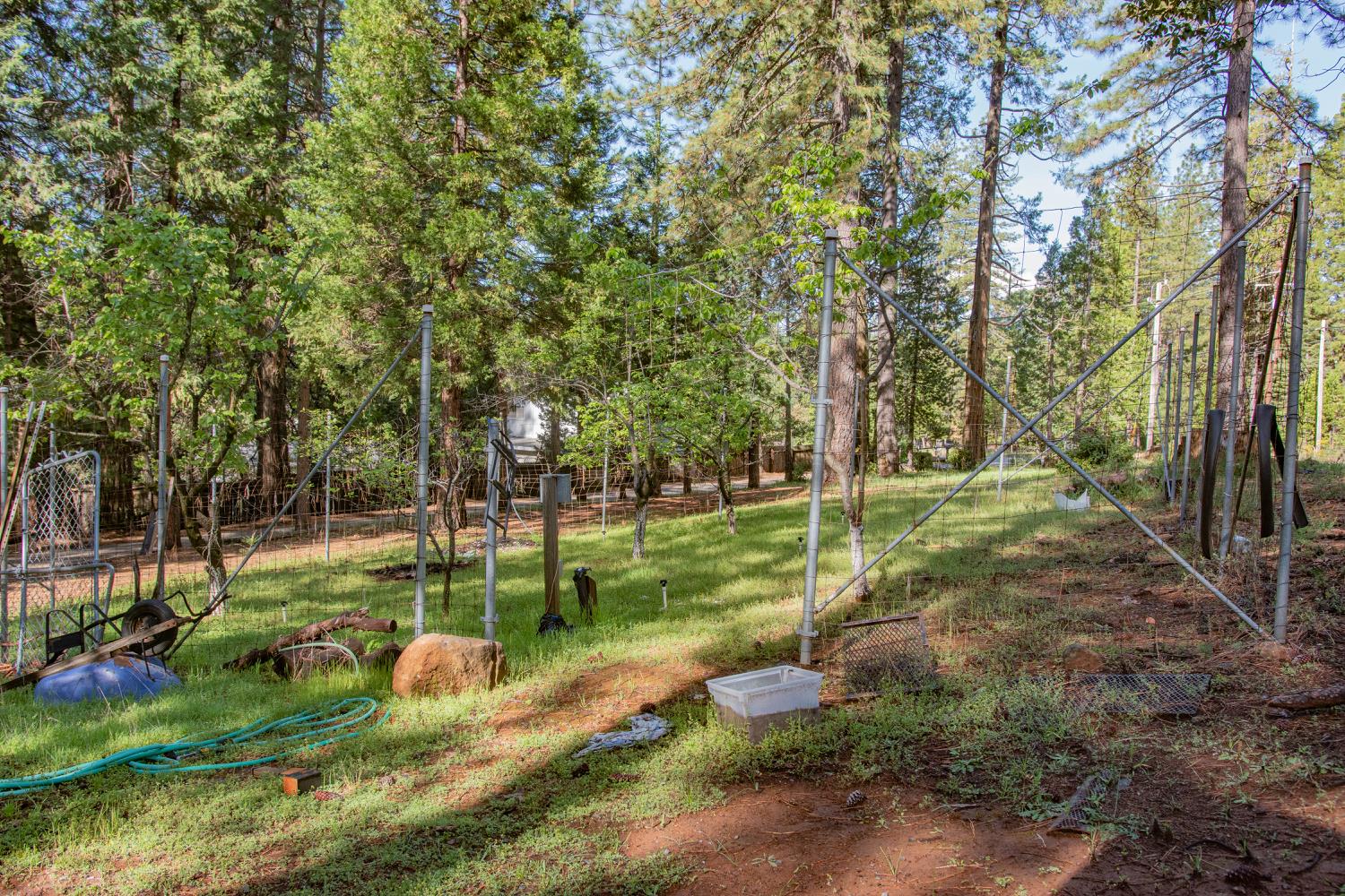 7380 Wentworth Springs Road Georgetown, CA 95634 - Photo 34 of 48 a view of a park with large trees