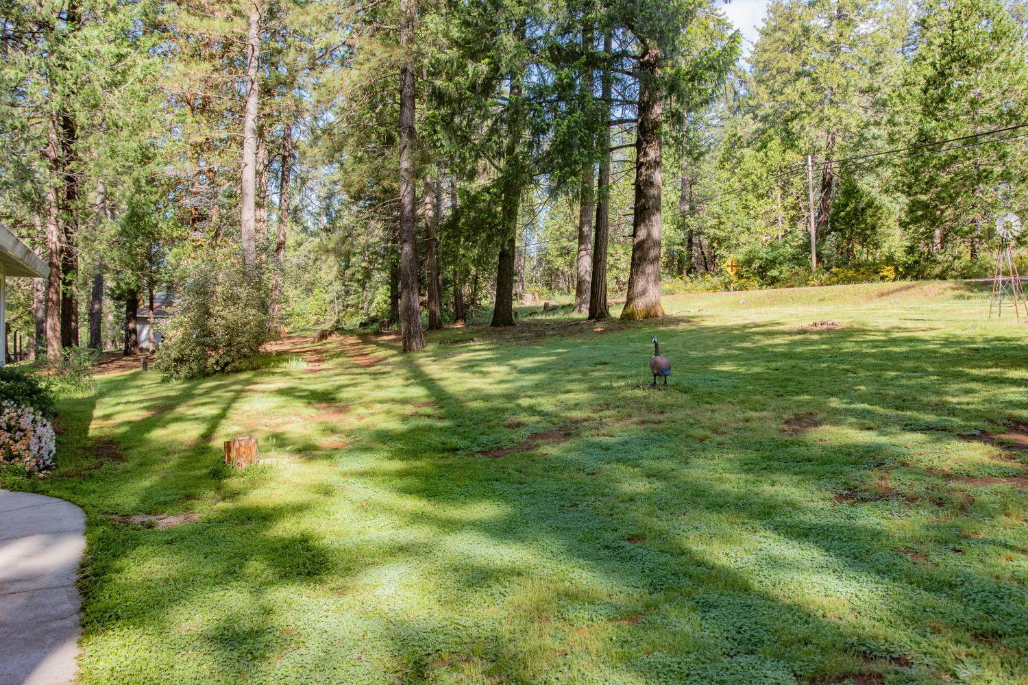 7380 Wentworth Springs Road Georgetown, CA 95634 - Photo 39 of 48