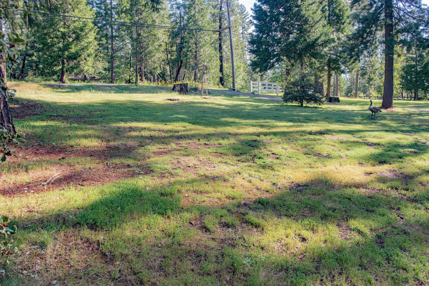 7380 Wentworth Springs Road Georgetown, CA 95634 - Photo 40 of 48