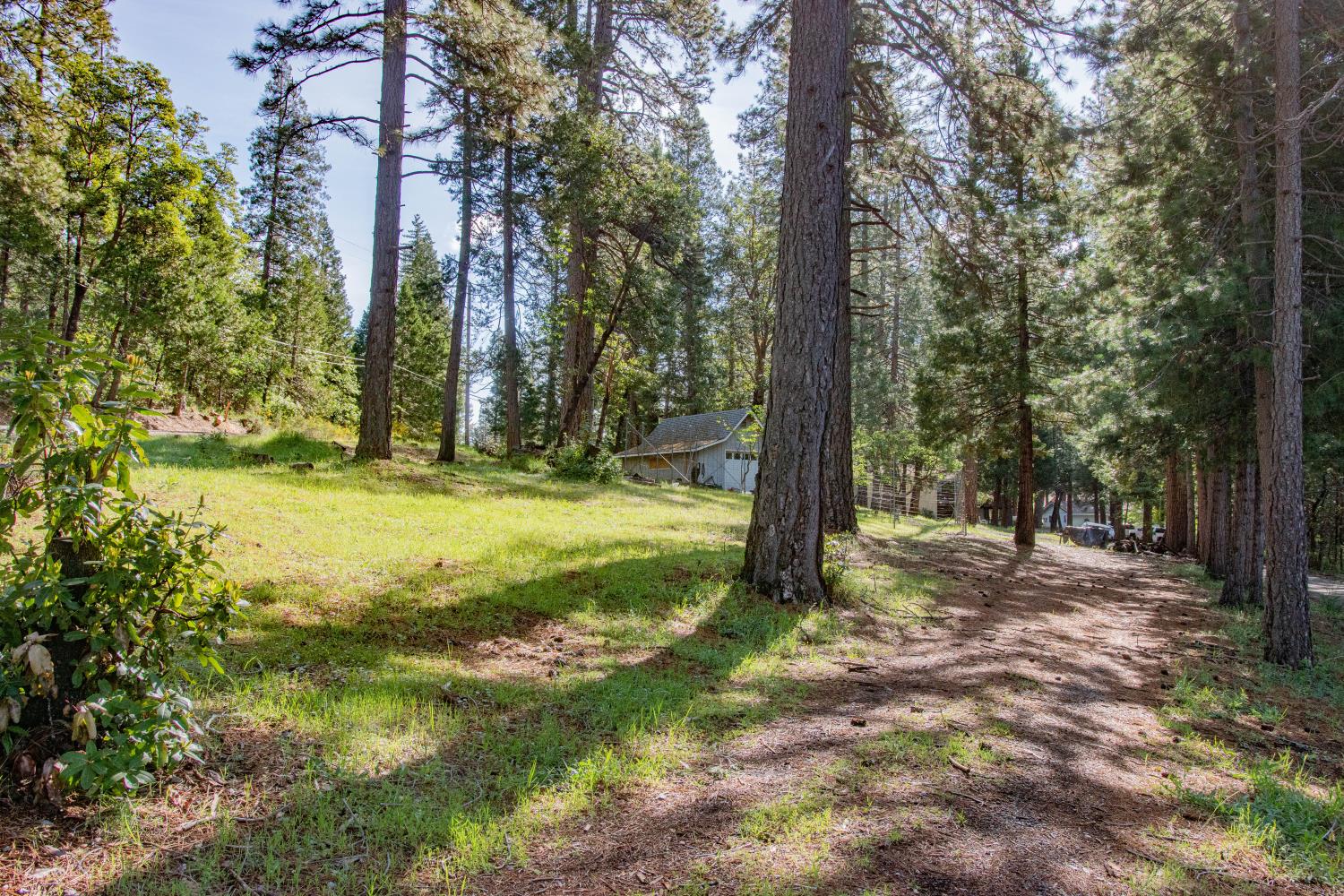 7380 Wentworth Springs Road Georgetown, CA 95634 - Photo 46 of 48