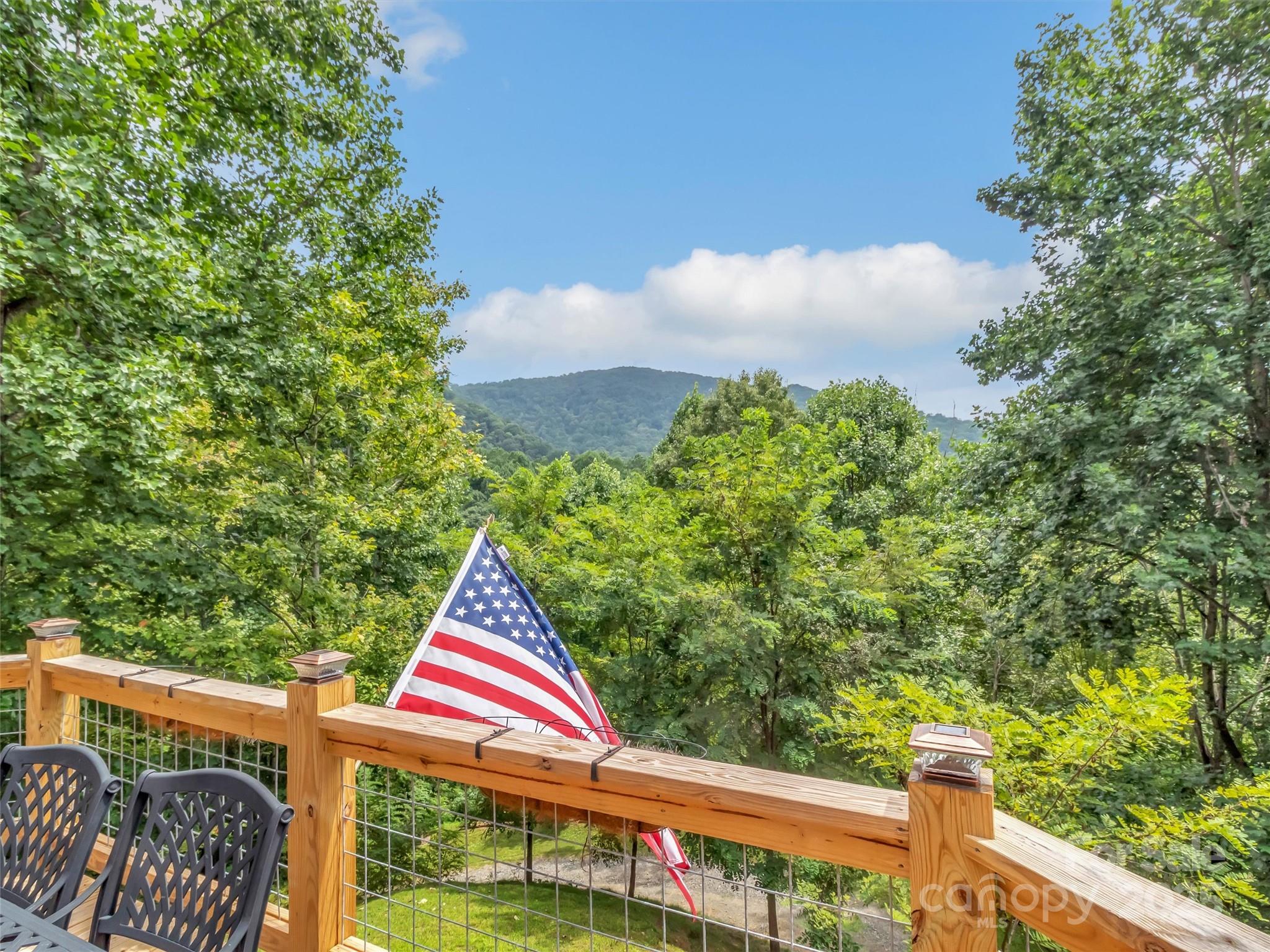 4823 Max Patch Road Clyde, NC 28721 - Photo 26 of 47 a view of small yard and entertaining space