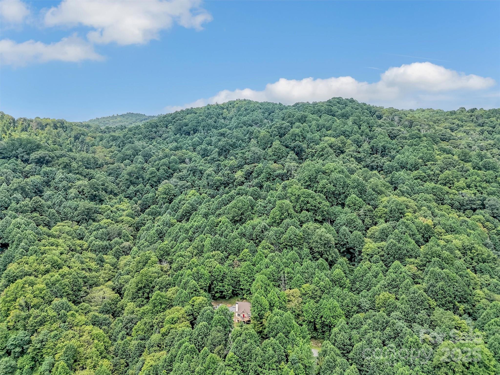 4823 Max Patch Road Clyde, NC 28721 - Photo 41 of 47 a view of a middle of a field