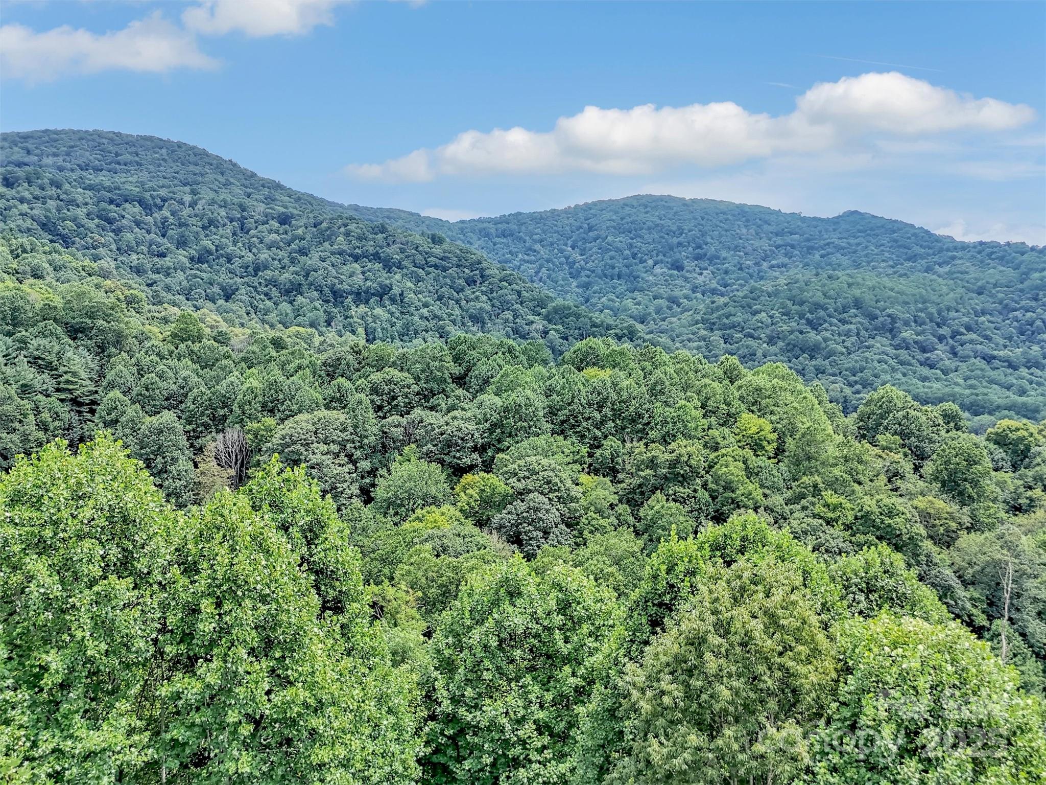 4823 Max Patch Road Clyde, NC 28721 - Photo 45 of 47 a view of a mountain in the distance in a field