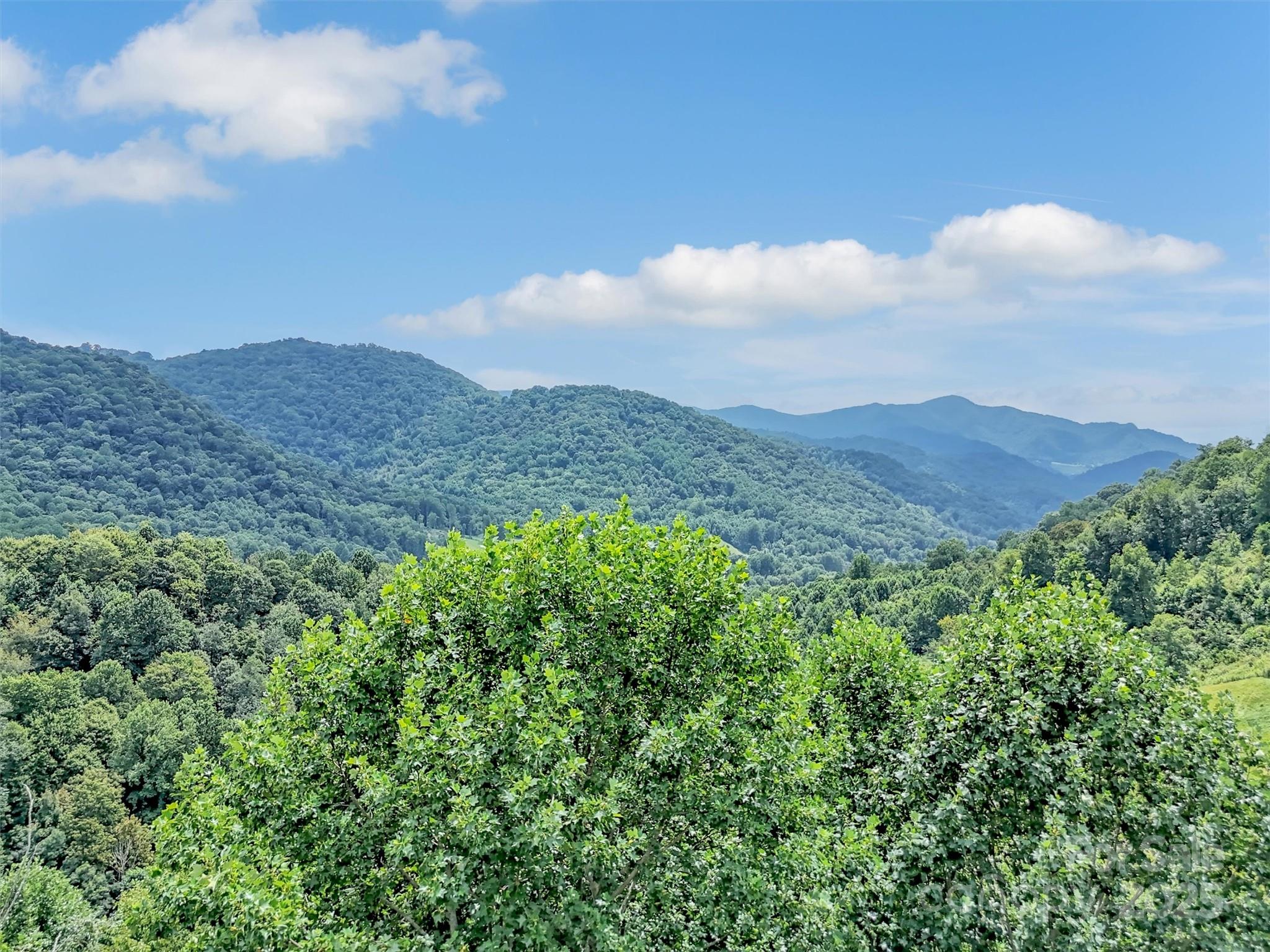 4823 Max Patch Road Clyde, NC 28721 - Photo 47 of 47 a view of a lush green mountain