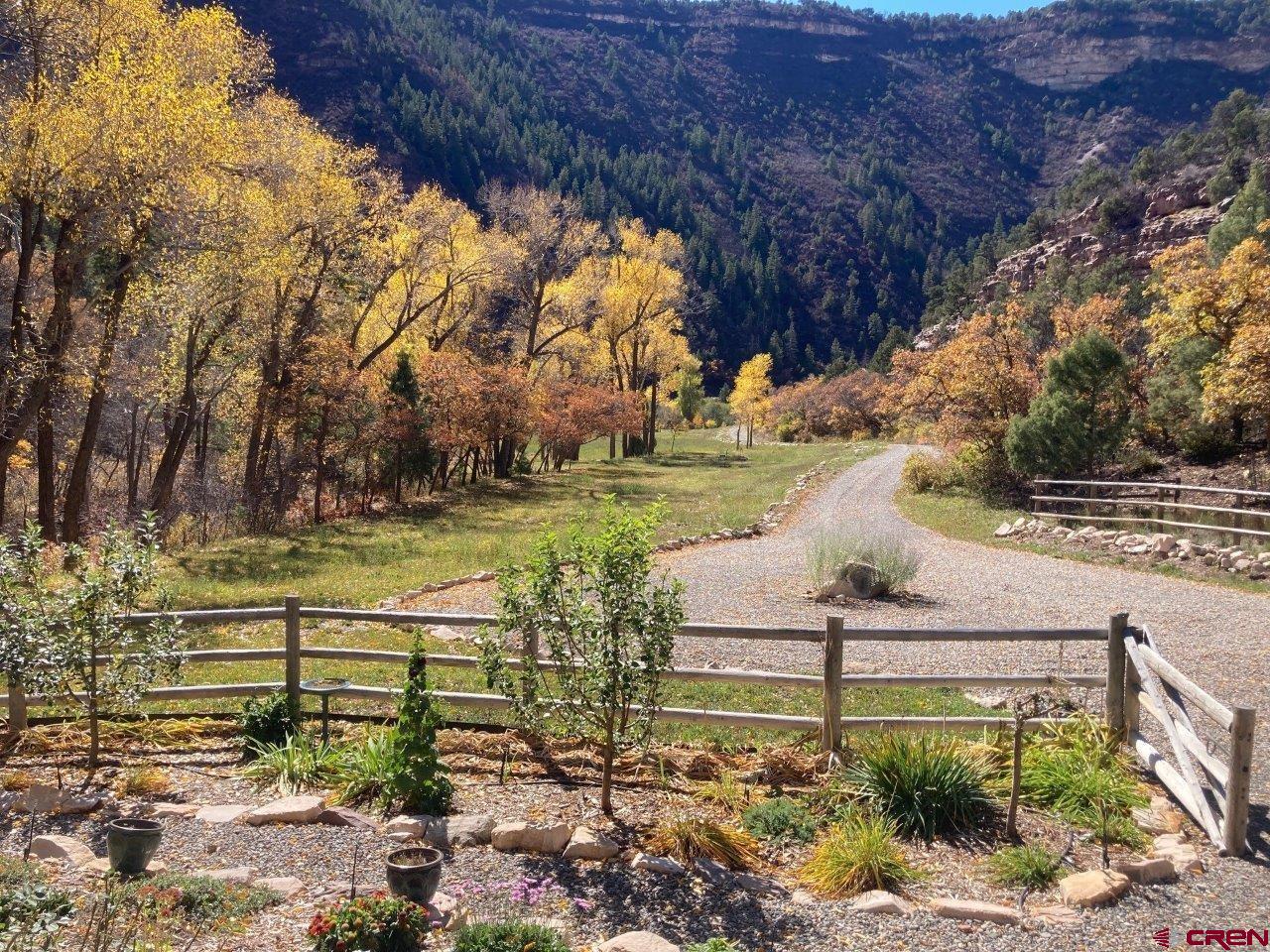 68 Sanborn Park Road Norwood, CO 81423 - Photo 7 of 33 a view of a yard with flower plants