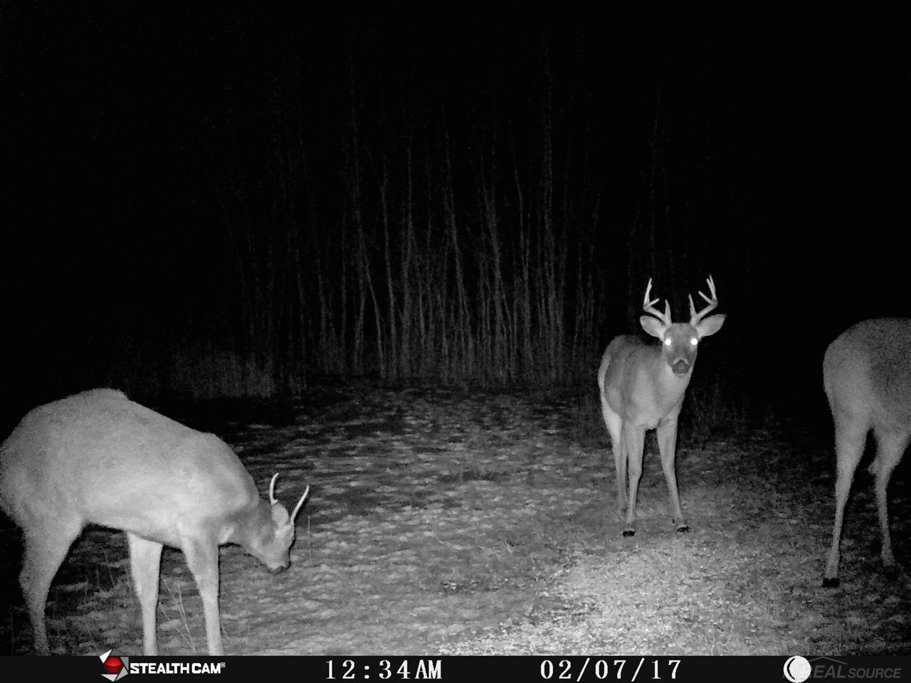 Vl Townsend Applegate, MI 48401 - Photo 28 of 31