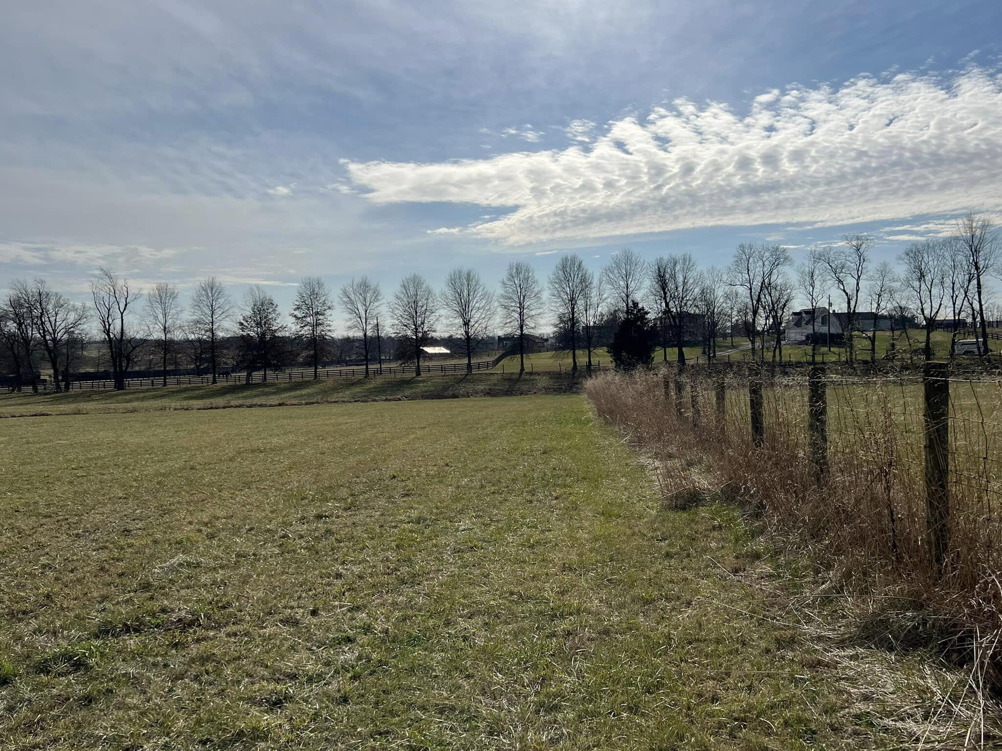 0 Bryan Station Road Paris, KY 40361 - Photo 8 of 12 BS2