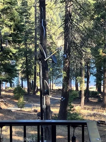 a view of wooden house with a small yard and large tree