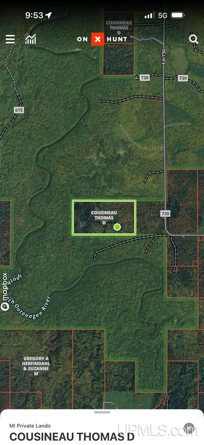 Tbd Tbd Burma Road Ewen, MI 49925 - Photo 17 of 18