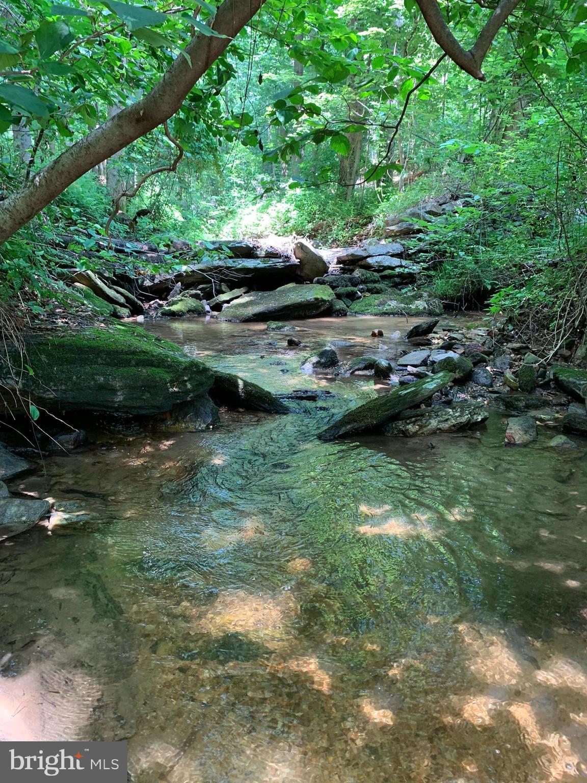 Etzler Road Frederick, MD 21702 - Photo 11 of 25 stream