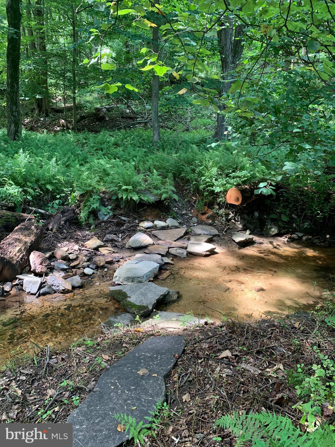 Etzler Road Frederick, MD 21702 - Photo 13 of 25 stream path