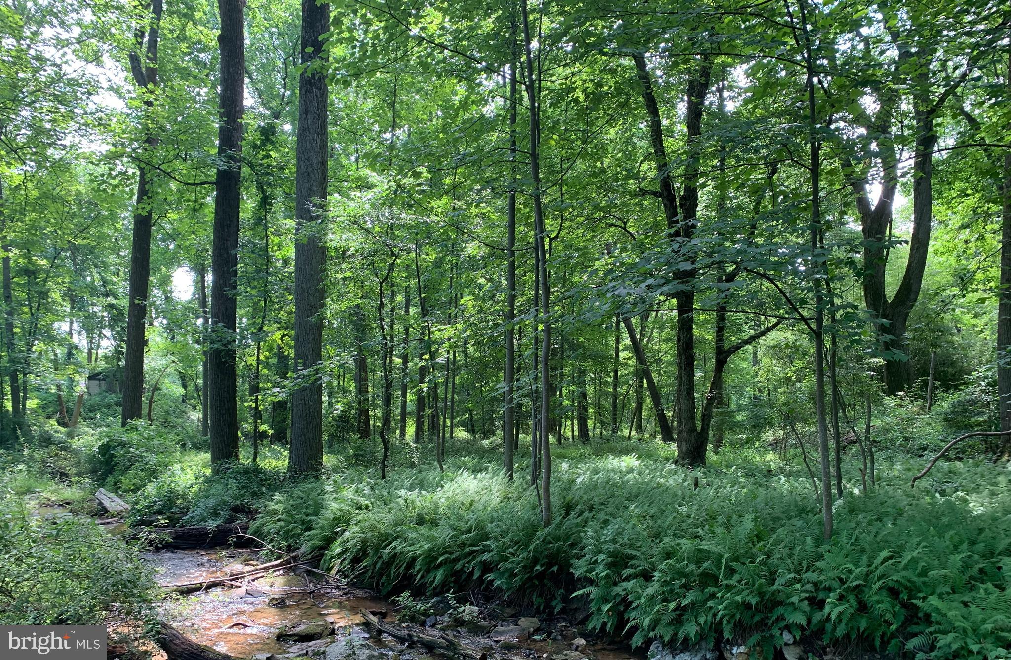 Etzler Road Frederick, MD 21702 - Photo 14 of 25 woods