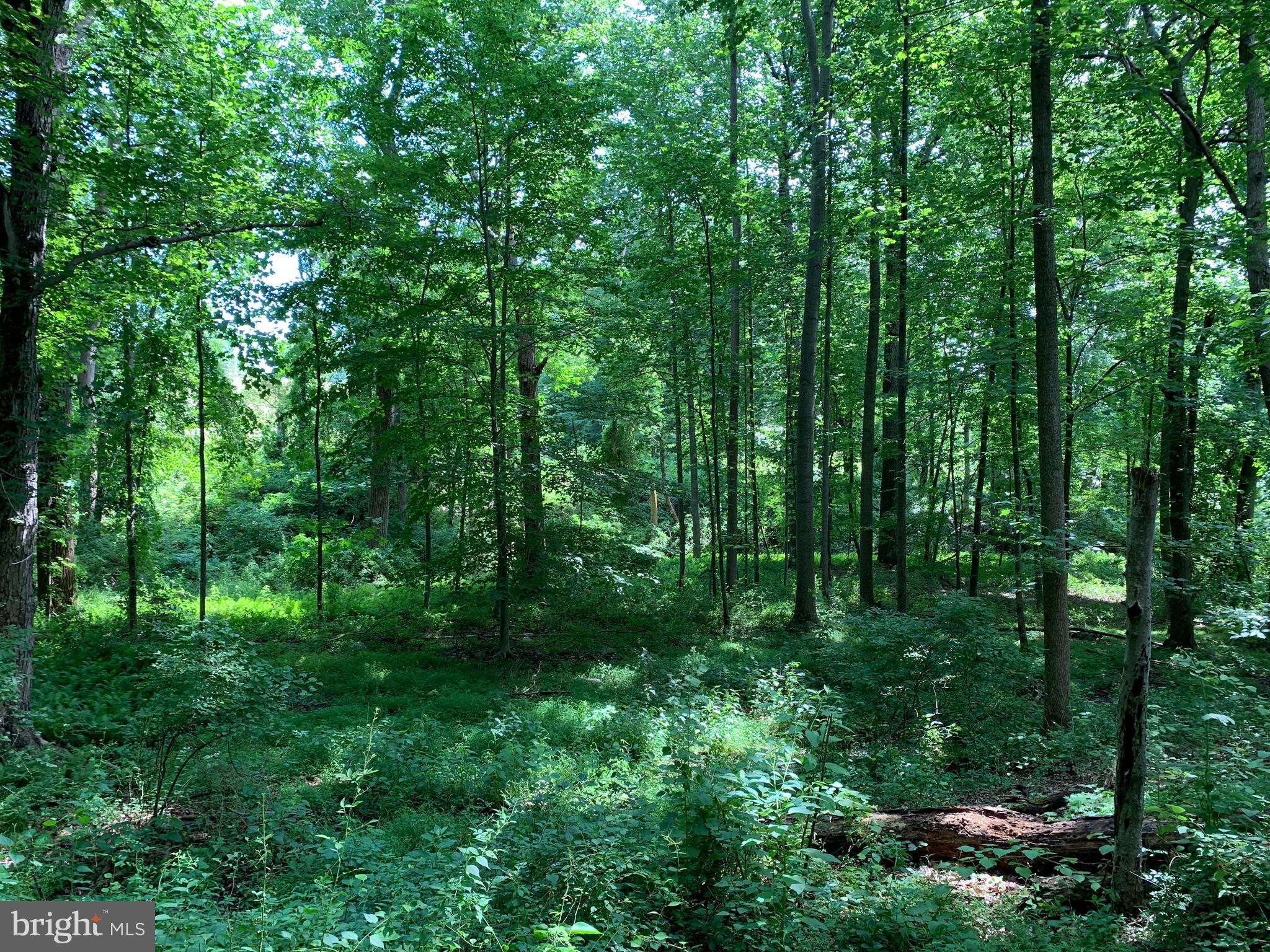 Etzler Road Frederick, MD 21702 - Photo 17 of 25