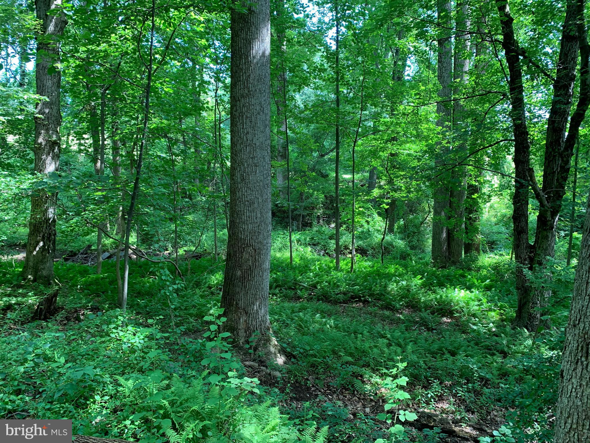 Etzler Road Frederick, MD 21702 - Photo 18 of 25