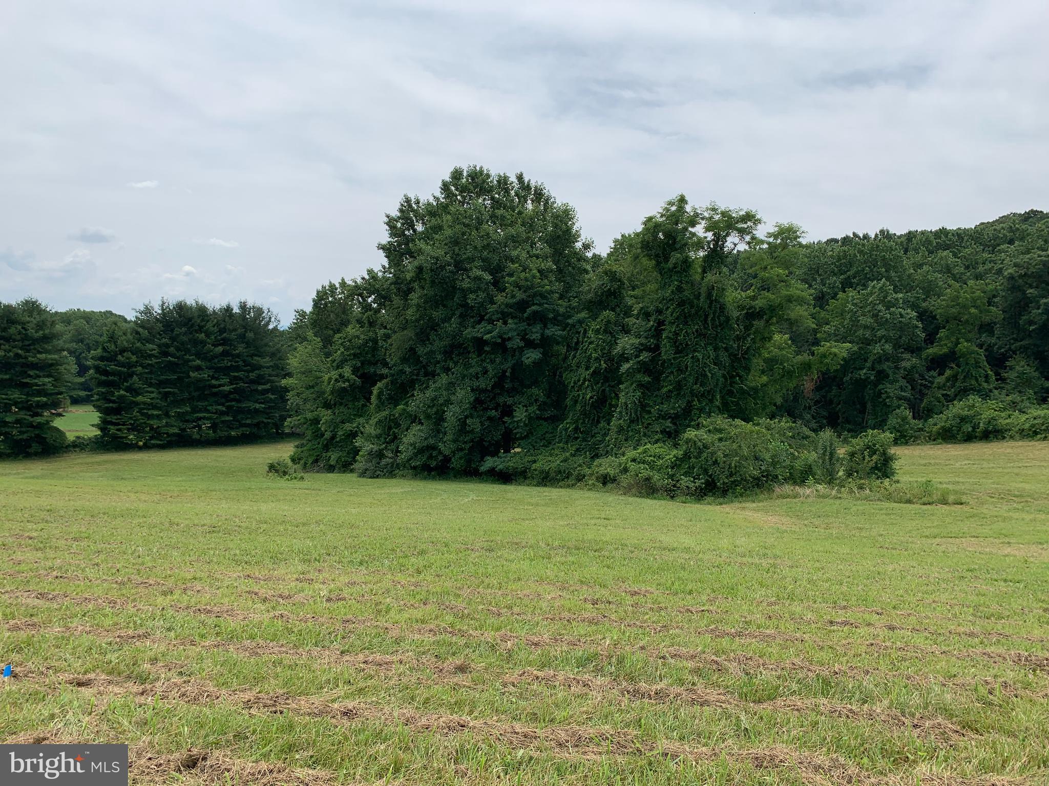 Etzler Road Frederick, MD 21702 - Photo 19 of 25 upper corner towards Frederick