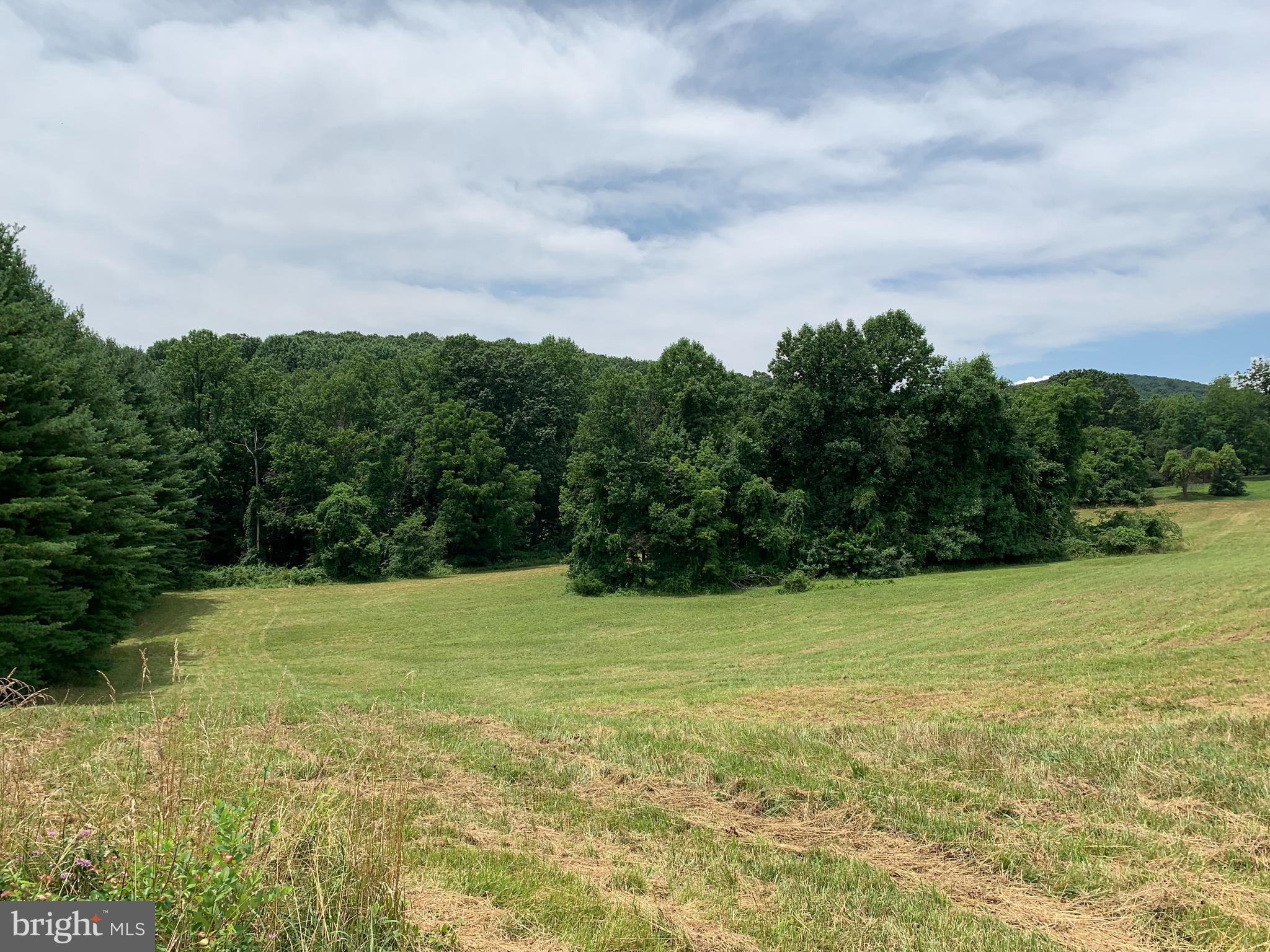 Etzler Road Frederick, MD 21702 - Photo 21 of 25 well towrads mountain