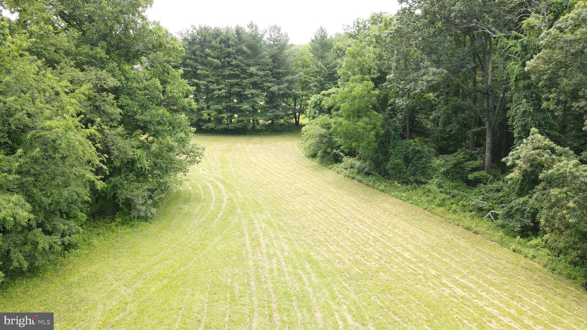 Etzler Road Frederick, MD 21702 - Photo 8 of 25 lower field