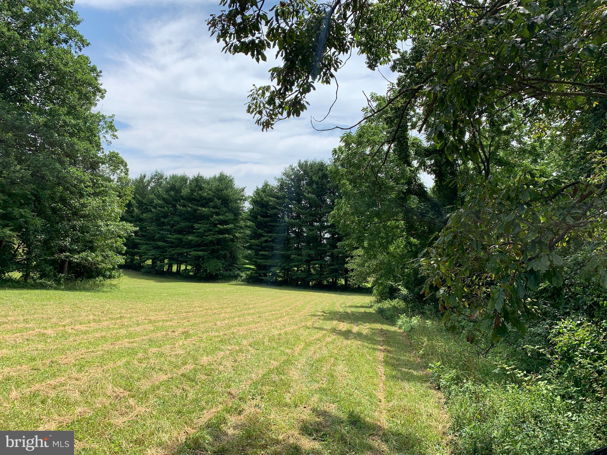 Etzler Road Frederick, MD 21702 - Photo 10 of 25 lower field