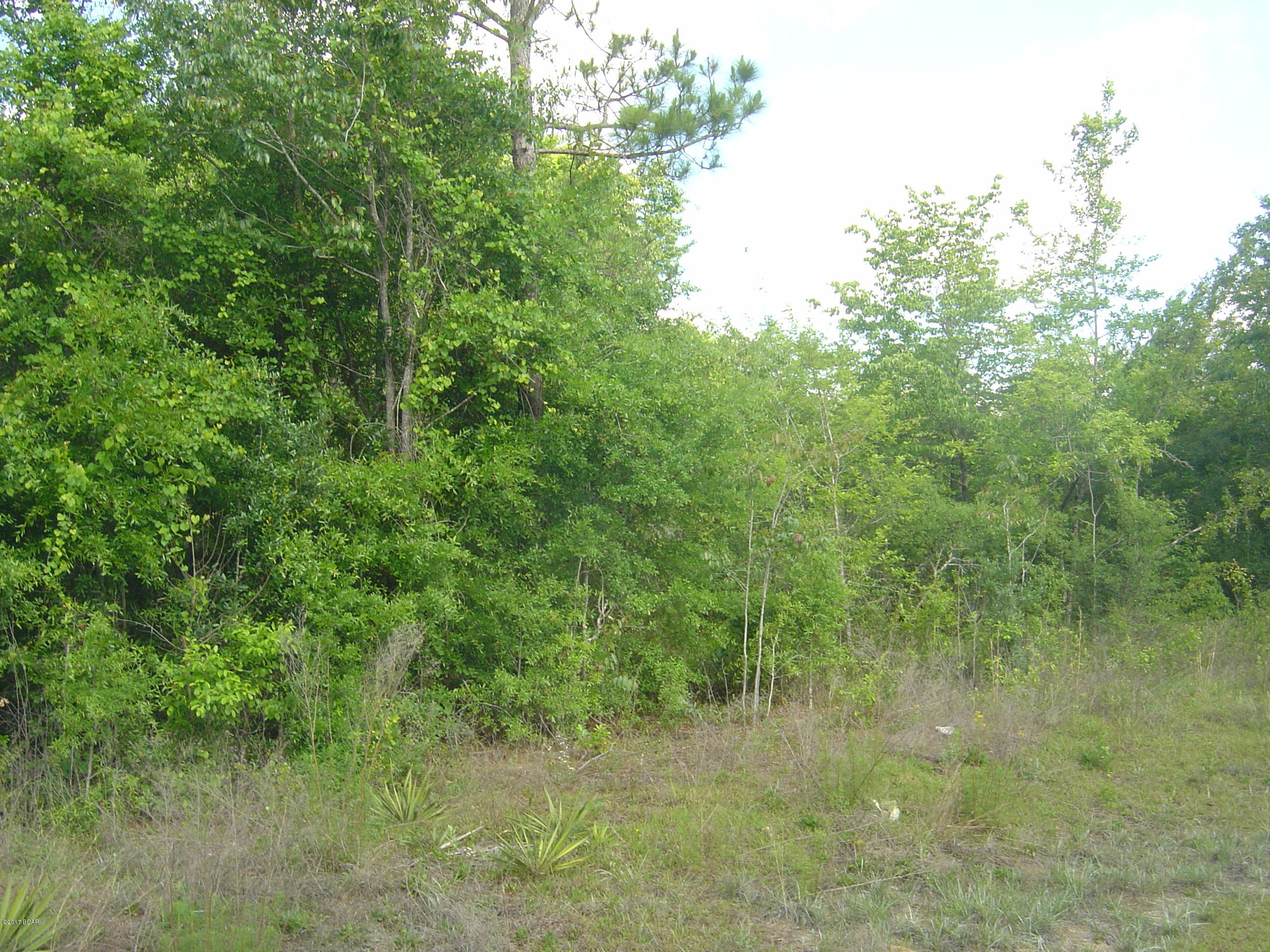 0 Fairview Road Marianna, FL 32448 - Photo 3 of 5 Gallery Image 3