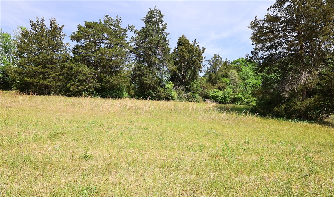 3916 Highway 24 Anderson, SC 29625 - Photo 2 of 8 Expansive green spaces offer an ideal setting for a new residential build.