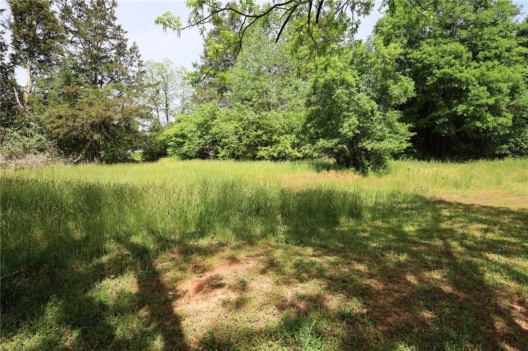 3916 Highway 24 Anderson, SC 29625 - Photo 3 of 8 A tranquil meadow framed by lush trees awaits your vision.